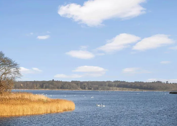 Semesterbostad Sl341-skaelskor-glaenovej-140 *